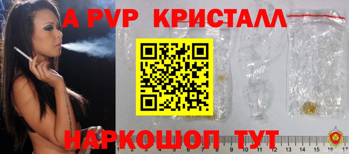A PVP СК КРИС Обнинск