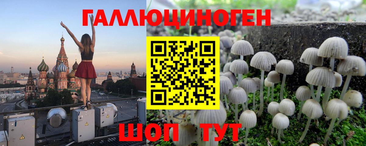 Псилоцибиновые грибы GOLDEN TEACHER Обнинск