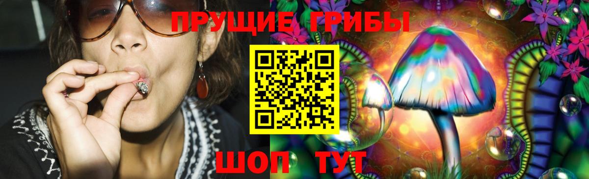 Обнинск  Псилоцибиновые грибы GOLDEN TEACHER  Вход с VPN  цены   Галлюциногенные грибы Cubensis 